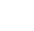 Passenger Van